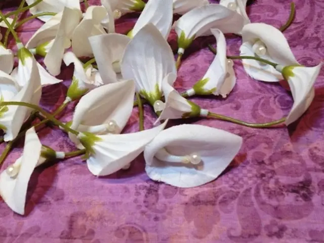 Week of Purple Transitioning to Green is Declared a Triumph!