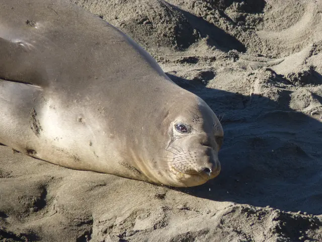 Avoiding Typical Blunders During Your Driveway Sealing Process