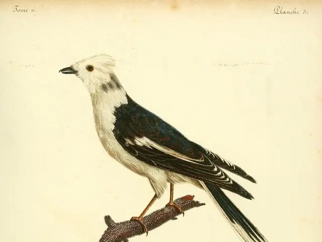 Inspirational Quotes on Minimalistic Living to motivate you