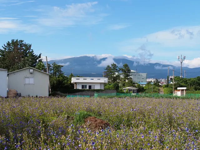 Unleashing Solar Energy: delving into sustainable power sources