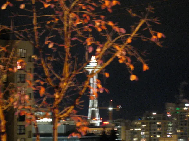 Riding the dark night forward