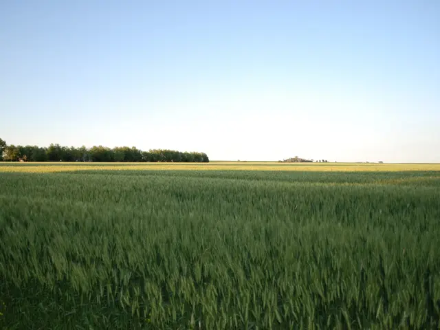 Summery ambiance prevails in Solingen, with a delicate maturity in the air.