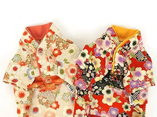 Twenty-six stylish dresses, ideal for any springtime event