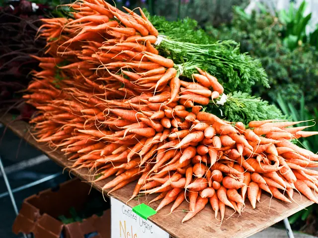 Easy Steps for Carrot Cultivation