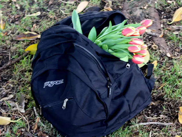 Advantages of Employing Grow Bags over Common Planters