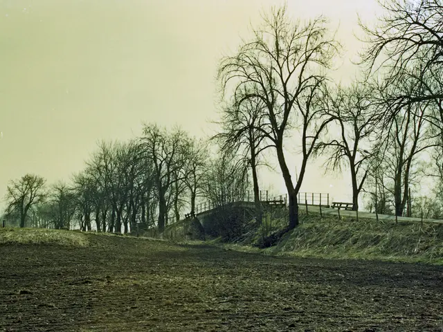 Summer Season in Upper Germany, featuring Fiete