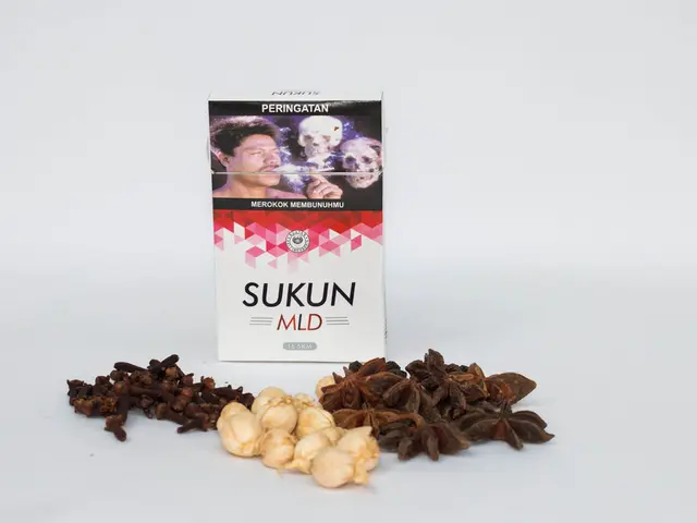 Top Winter-Thriving Herbs to Cultivate in Your Garden