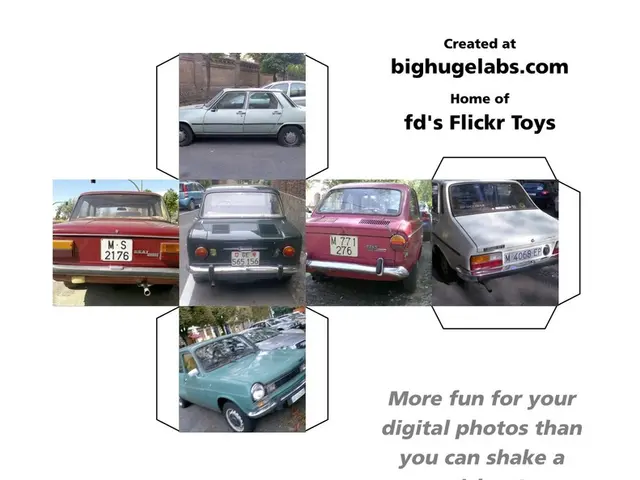 Top Blunders to Steer Clear Of During Vehicle Registration Process