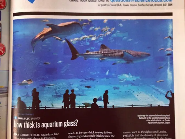 Increase Website Visitors with These 5 ChatGPT-Suggested Strategies