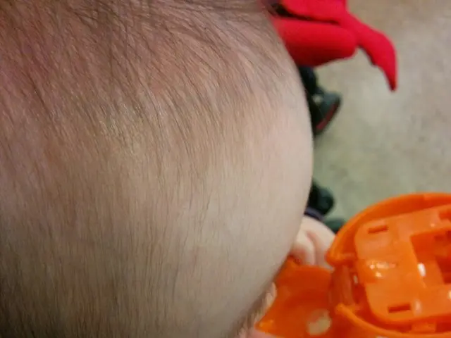 Daily Essential Pieces from Bombas You'll Love Wearing Endlessly, and That's Completely Acceptable