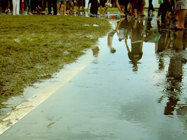 Heading: Securing Your Lawn Before Your Vacation: Three Essential Steps to Follow