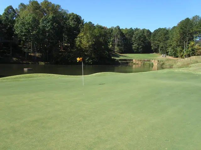 Discovering Thrilling Expeditions in West Sweden's Rustic Wilderness