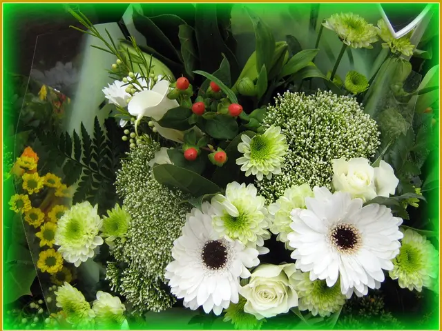 Interpreting Nightly Mysteries: A Look Into Dream Meanings