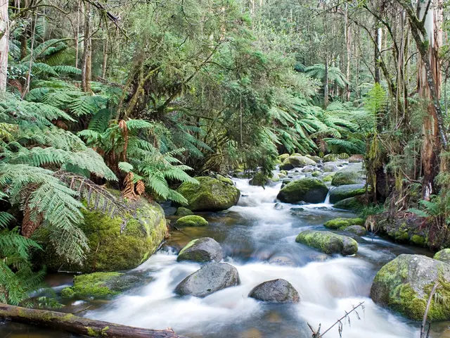 Involvement of the Commission extended to the planning phase of the program.