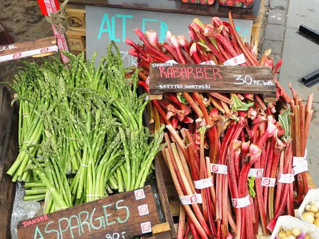 Growing Vegetables on a Budget: The Top 6 Choice Picks