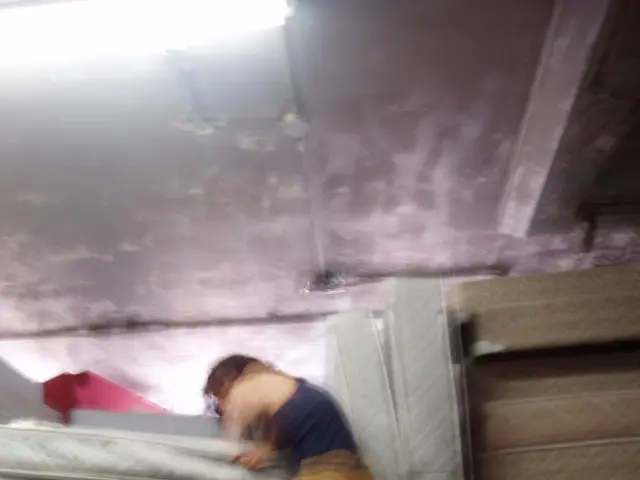 RV Mattresses by SleepDog: Essential Comfort for Peaceful Slumber Without Struggle