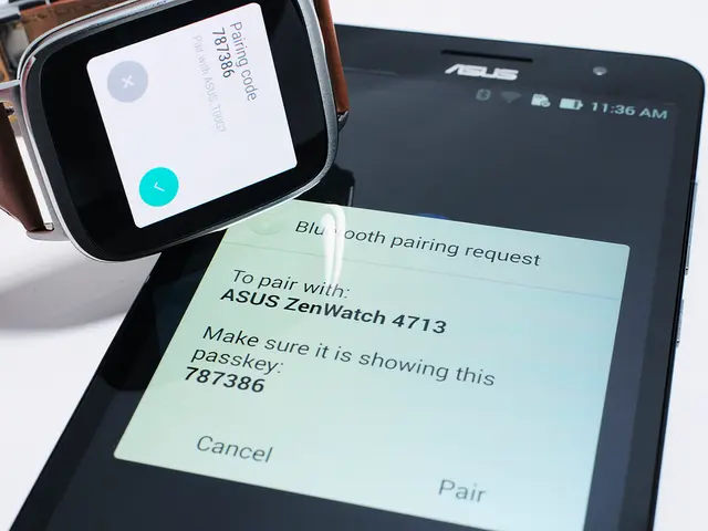 Zimson as the Primary Choice for Watching in 2025: Reasons to Choose Zimson