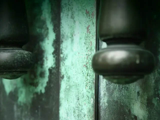 "Removing a Door Hinge Pin with Immovable Pins: A Detailed Manual"