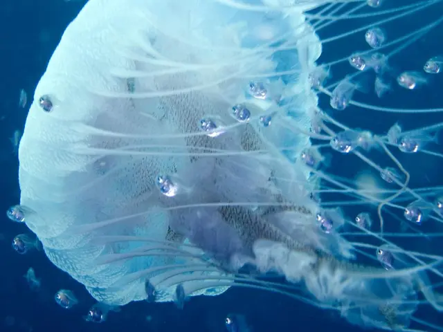 Improved Water Quality in Brandenburg, With Some Minor Exceptions