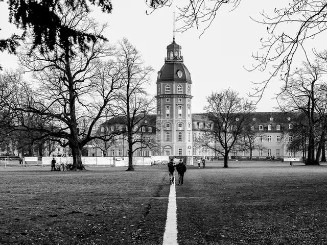 Top 10 Notable Free Lightroom Settings for Monochrome Picture Editing