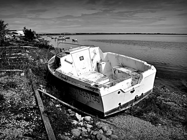 Exploring a Decade of Ocean Empathy: The Creation of Digital Oceans Propelling Real-Life Advocates