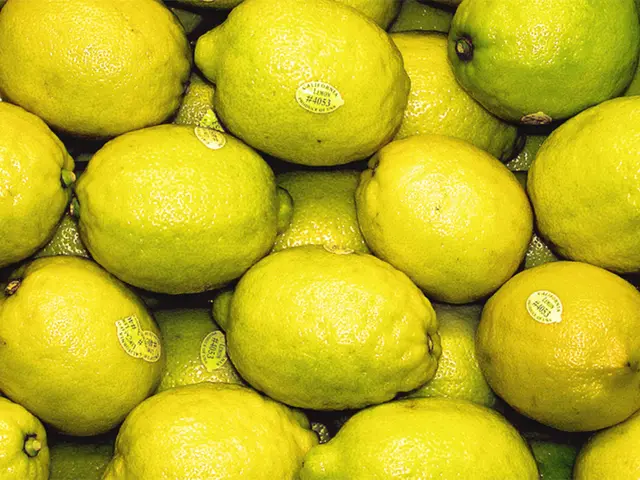 Unbelievable Applications for Lemons: Ranging from Domestic Cleaning to Cosmetics and Wellness