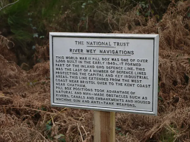 Top Notch Dibber Picks of 2023