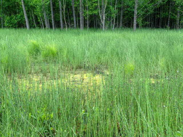 Future farmers, according to Tamil actor Siva Karthikeyan