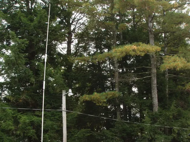 Top Caravan Supplying Dealer Lauded in 2025 Owner Satisfaction Awards: Salop Leisure - Pre-owned...