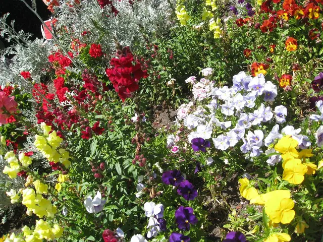 fifteen vibrant summer-blooming wildflowers native to the United States to cultivate in your garden