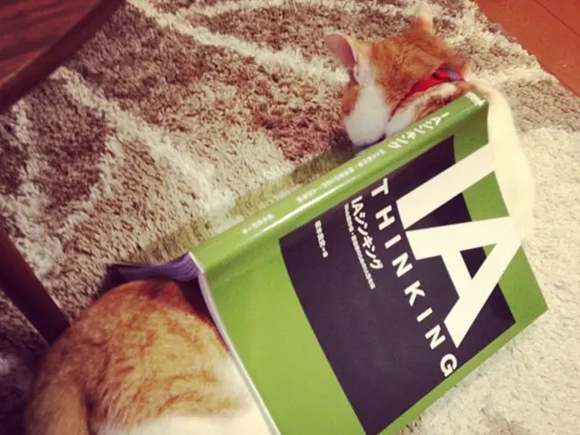 Mario Ludwig, cat enthusiast and can opener, advises caution: "Don't overdo it." Accompanied by...