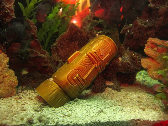 Ideal Lighting Conditions for a Vibrant Amaryllis Bloom