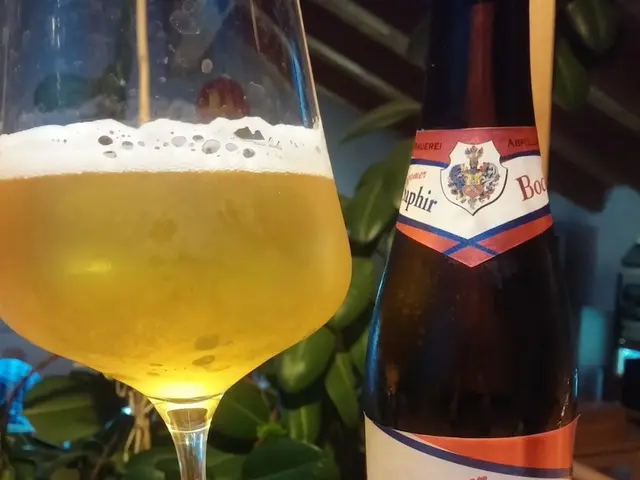 Winemaker President of Saarland anticipates a "premium harvest"