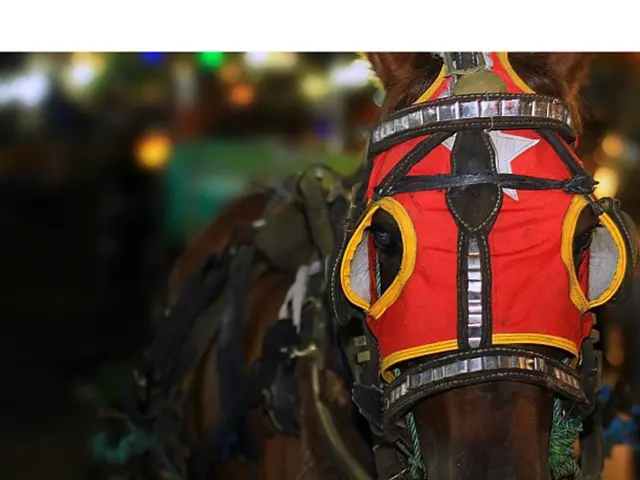 Low-cost housing prioritized for students: escalating demand for exclusive student apartments in...