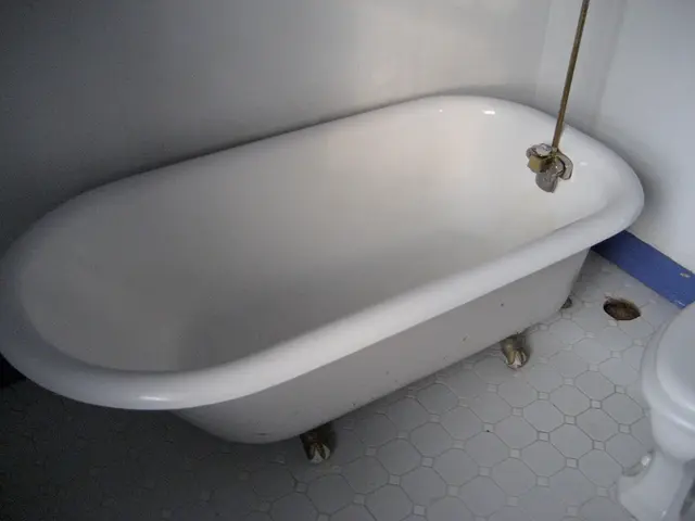 Roommate Agreement Stipulates New Boyfriends Can Reside, However, Personal Bathroom Remains...