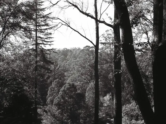 Day filled with exhilaration and untouched allure