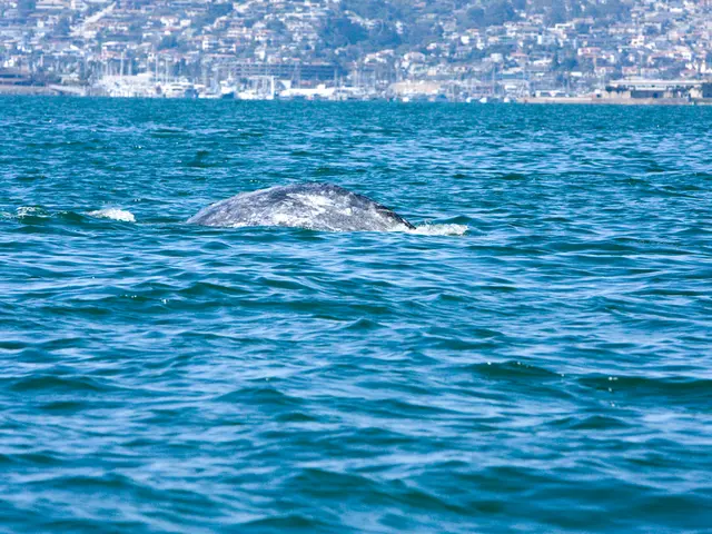 Overcoming the Challenge of Constructing a New Home in a Flood Zone and Conservation Area: Take a...