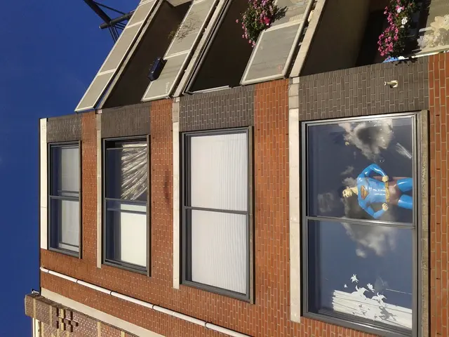 Affordable Internal Floral Accents for Your Home Decor