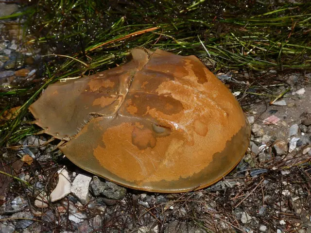 Eliminate Roundworms from Soil: Protect Your Greenery, Preserve Your Produce