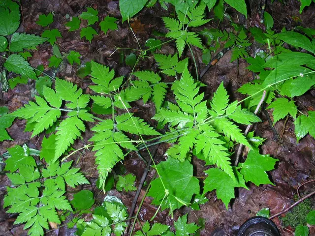 "Label 'VITA Green' introduced to elevate Vietnam's global eco-friendly tourism standing"