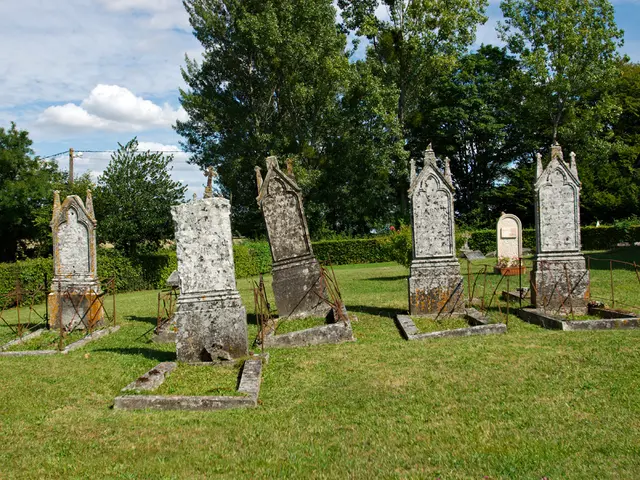 Faqs on Yucca: Exploring 10 Keys Points Regarding Yucca