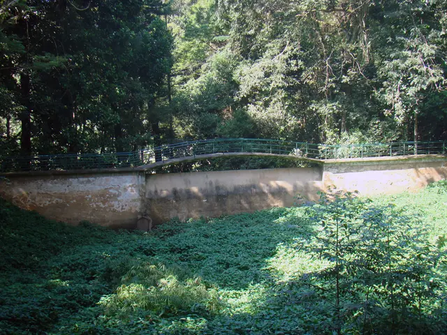 Eliminating Hedge Vines: Strategies for Removing Vines from Hedges