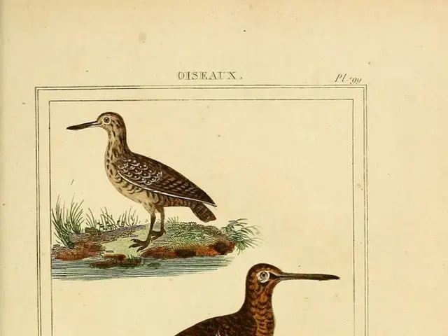 Challenge Launched by Vestergaard Frandsen and Eartheasy: Three Million Liters of Clean Water to be...