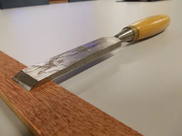 Affordable styling solutions are now available with Revlon's latest range of hair tools