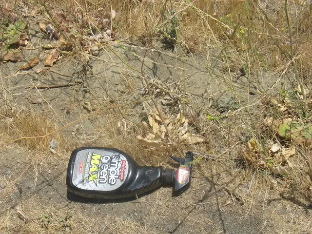 Discovering Stinkweed: Strategies for Eliminating Stinkweed Vegetation