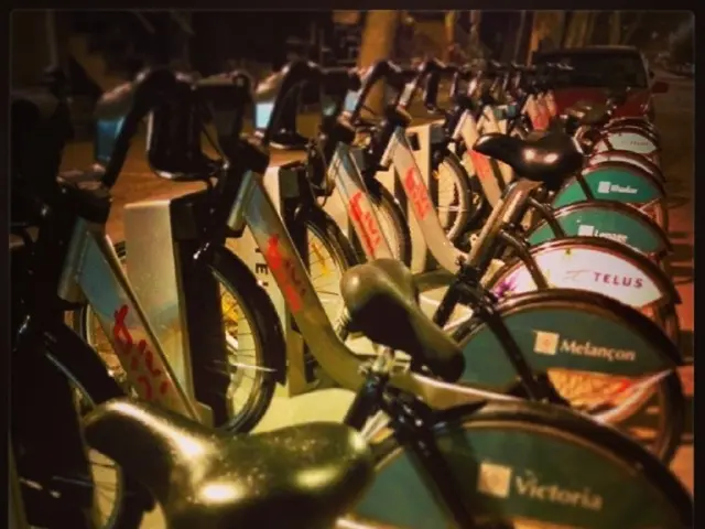 Auction of Discovered Artifacts Begins in September