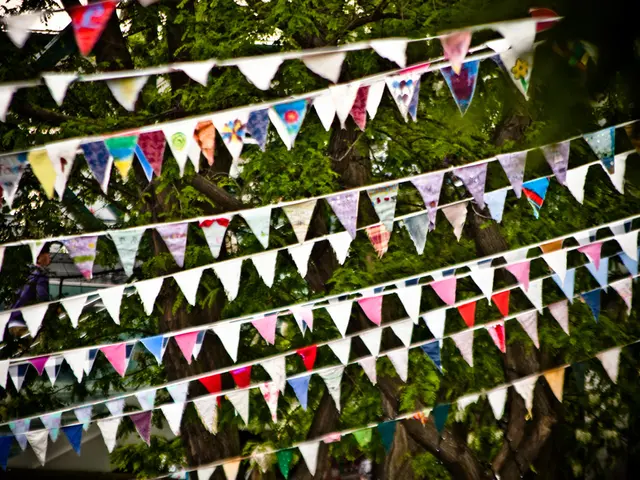 Twelve Premium Elements for DIY Nature Art Projects, Infusing Your Imagination with a Dash of...