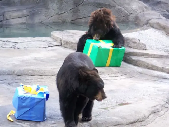 Restaurant owner Mici marks a fresh milestone with a new location after two decades in the culinary...