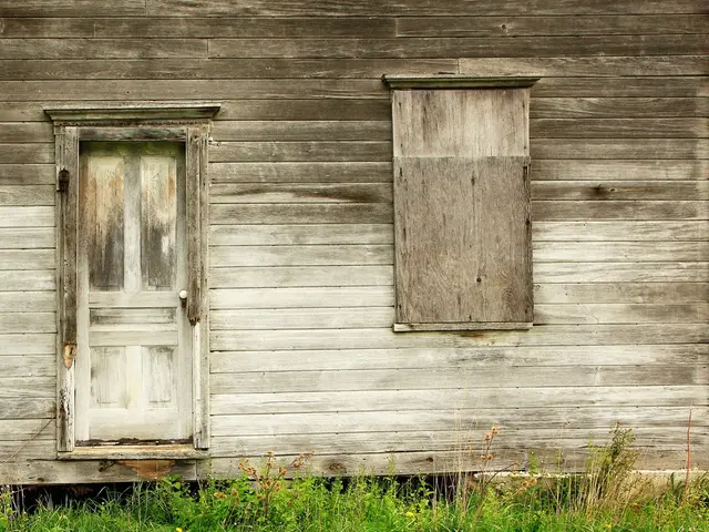 Wilderness Transformation: Garden Owner Introduces Unruly, Natural Growth