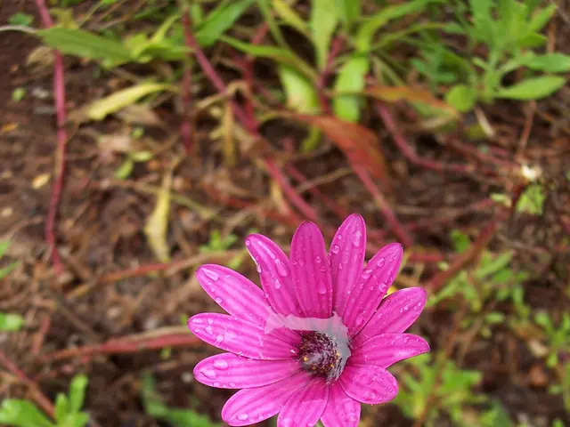 Avoid performing these five actions in a fake autumn season, to prevent long-term harm to your...